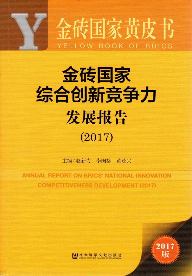 啊啊啊插进来视频金砖国家综合创新竞争力发展报告（2017）